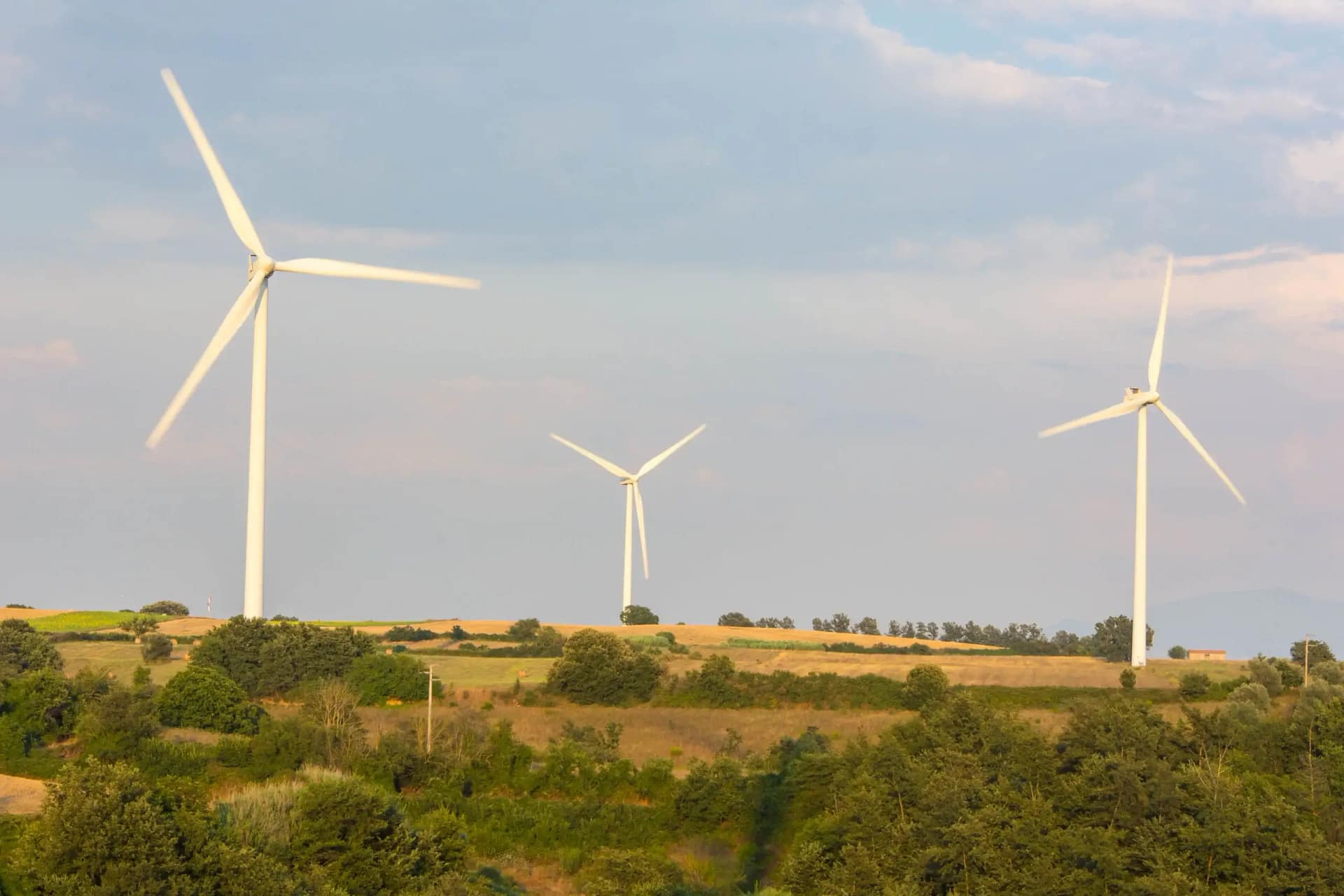Hvorfor Vindstød Er Det Klare Valg Over Norlys som Din El-leverandør