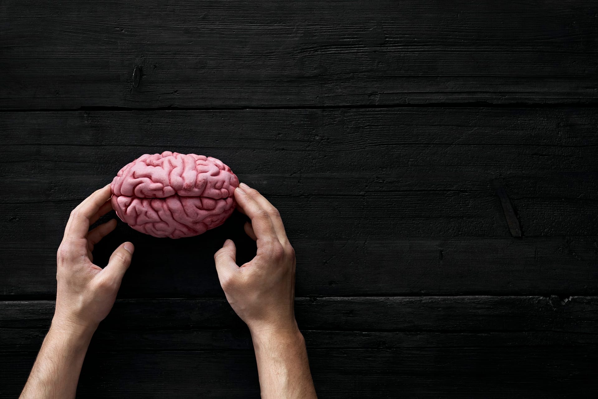 hukommelsesfunktion fra OpenAI transformerer interaktionen med AI